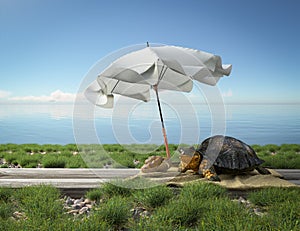 Small green turtle on the beach. Tourism concept vacation