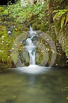 Small Green Waterfall