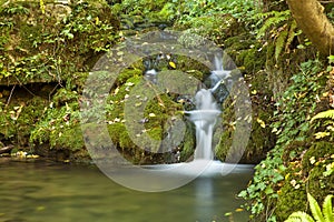 Small Green Waterfall