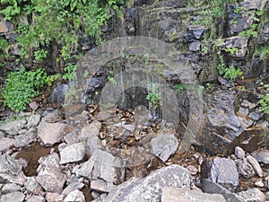 Small green waterfall