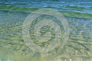 Small green waves near the shore of the ocean