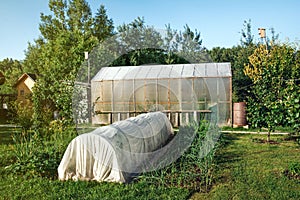 Small greenhouse