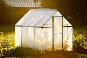 Small greenhouse in backyard