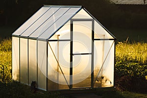 Small greenhouse in backyard