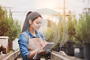 Small greenhouse business. Female gardener inspecting flowers and seedlings, standing in the middle of plants with