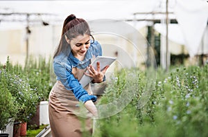 Small greenhouse business. Gardener inspecting flowers and seedlings, standing in the middle of plants with clipboard.