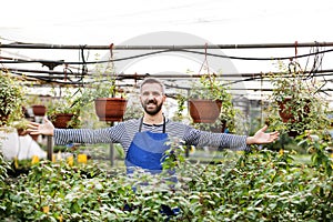 Small greenhouse business. Gardener inspecting flowers and seedlings, standing in the middle of plants, open arms.