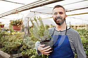 Small greenhouse business. Gardener potted plant, rosemary, standing in the middle of plants, looking at camera, smiling