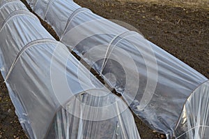 Small greenhouse for cucumbers , covered with a film in which farmers grow vegetables