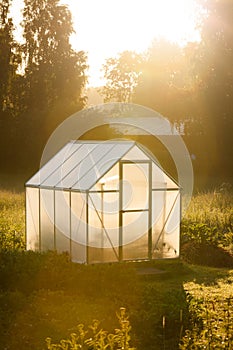 Small greenhouse and golden light of dawn