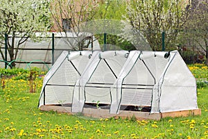 Small Greenhouse for Growing Vegetables and Flowers