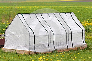 Small Greenhouse for Growing Vegetables and Flowers