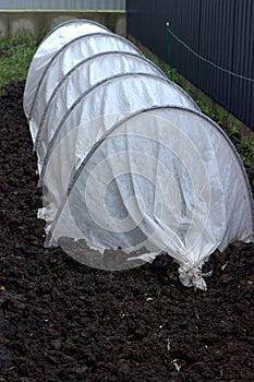 Small greenhouse for growing vegetables in spring