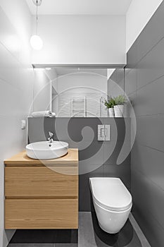 Small grey and white bathroom