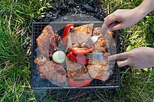 Small Grill, Barbecue, Bbq with Smoke, Mini Barbecue with Grilled Meat and Vegetables