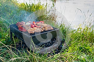 Small Grill, Barbecue, Bbq with Smoke, Mini Barbecue with Grilled Meat and Vegetables