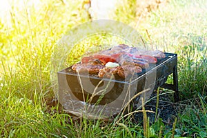 Small Grill, Barbecue, Bbq with Smoke, Mini Barbecue with Grilled Meat and Vegetables