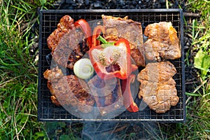 Small Grill, Barbecue, Bbq with Smoke, Mini Barbecue with Grilled Meat and Vegetables