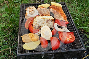 Small Grill, Barbecue, Bbq with Smoke, Mini Barbecue with Grilled Meat and Vegetables