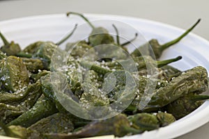 Small Grilled Green Peppers with Chunky Salt for Spanish Tapas