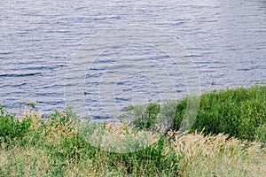 Small grove in water