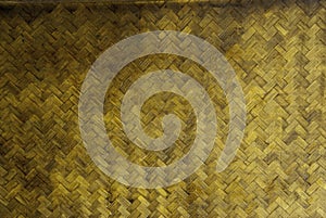 Small Grunge Bamboo Pattern