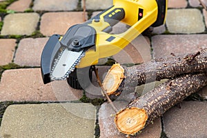 Small handheld lithium battery powered chainsaw with cutted twigs, branches of a fruit tree on a paving slabs. The concept of