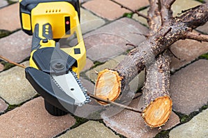 Small handheld lithium battery powered chainsaw with cutted twigs, branches of a fruit tree on a paving slabs. The concept of