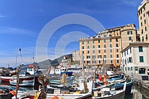 Small harbor in Camogli, Italy