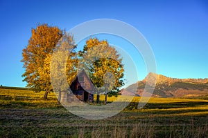 Small haystack with two trees and Krivan hill in the background