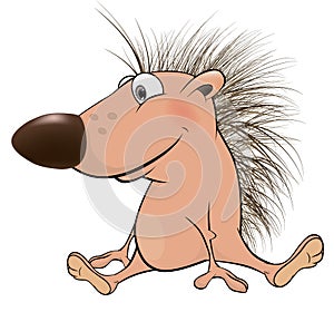 Small hedgehog. Cartoon