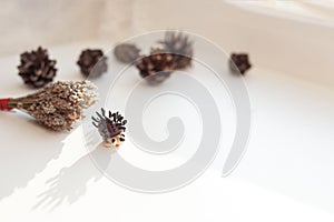 A small hedgehog made of clay with needles on a light background. Shadi`s bumps in the blur