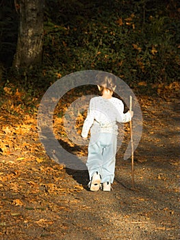 Small Hike in Early Autumn