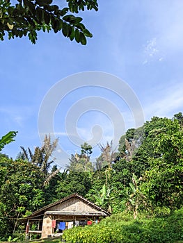 A small home made of bamboo in the wood