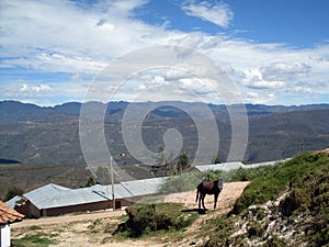 Little horse, Toribio de Mogrovejo neighborhood, Chachapoyas, Peru, South America photo