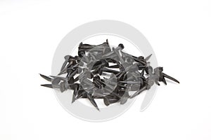 Small horseshoe nail on white