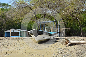 Small house, boat and trees on sandy beach