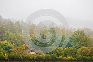 Small house hidden in the foggy, misty forest at late autumn. Weather, lifestyle background concept