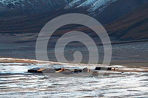 Small house, a kennel and a cattle pen at the foot of a snow-covered mountain in Altai on the bank of a frozen river