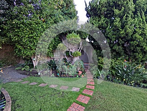 Small house with landscaped backyard and blooming plants