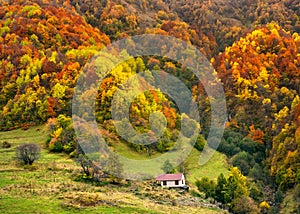 A small house, lonely stands on a mountainside