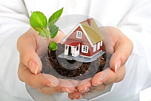 Small house and plant in hands.