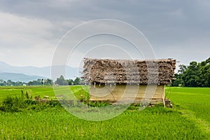 Small house and rice fields in Nepal
