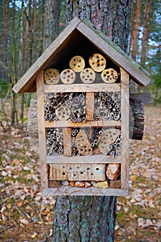 Small house for small insects before wintering
