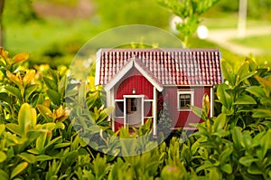 Small house sun leaves plant green nature