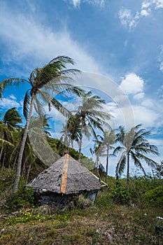 Small house with thatched roof between palm trees