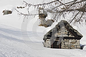 Small house and tree on the alps