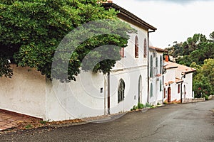 Small houses near trees and road