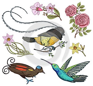 Small hummingbird, bird of paradise. daffodil and orchid with leaves and Roses buds. Wedding flowers in spring garden