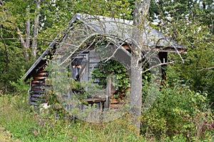 Hunting cabin